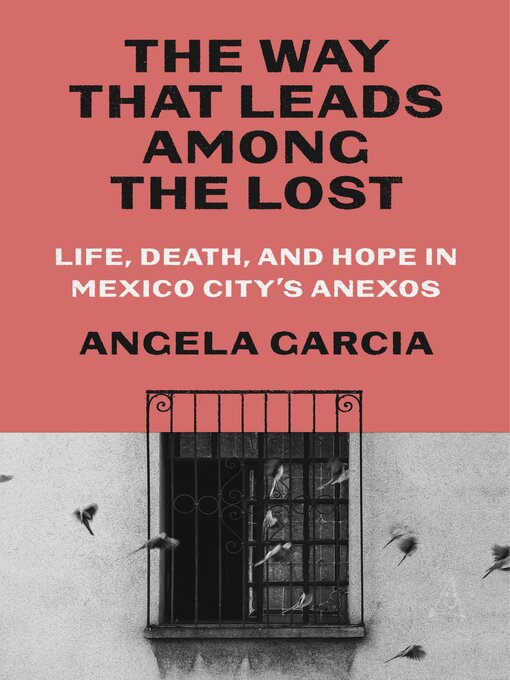 Title details for The Way That Leads Among the Lost by Angela Garcia - Available